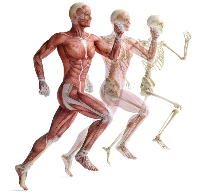 Sports injuries, pain relief for sports injuries with acupuncture, Colchester acupuncturist and tui na massage